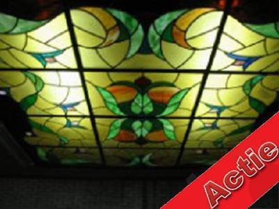 Glas in loodplafond 265 x 265